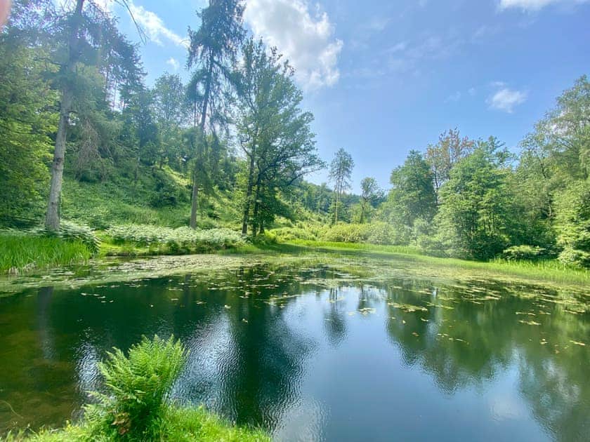 Fish pool three  | Croft Lodge Studio, Leominster