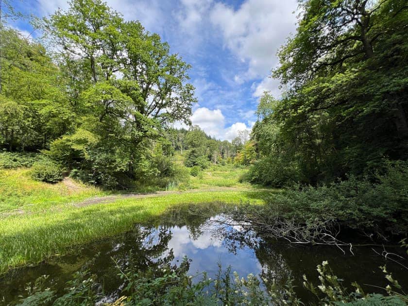 Fishpool six | Croft Lodge Studio, Leominster