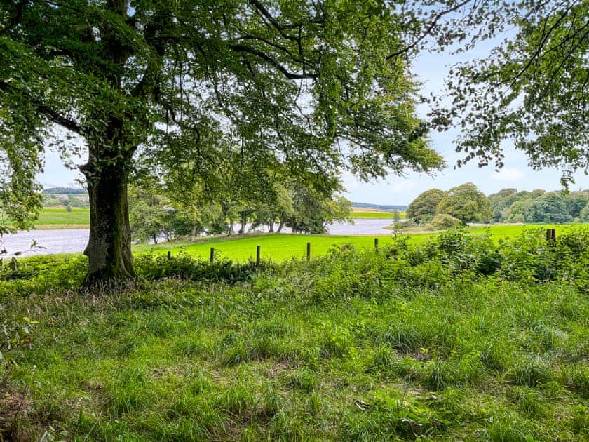 Exterior | Andromeda - Galloway Glamping, Castle Douglas