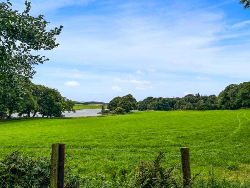 View | Andromeda - Galloway Glamping, Castle Douglas
