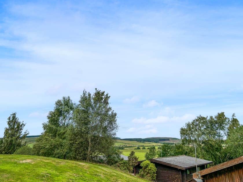 View | The Curious Stag, Rothbury
