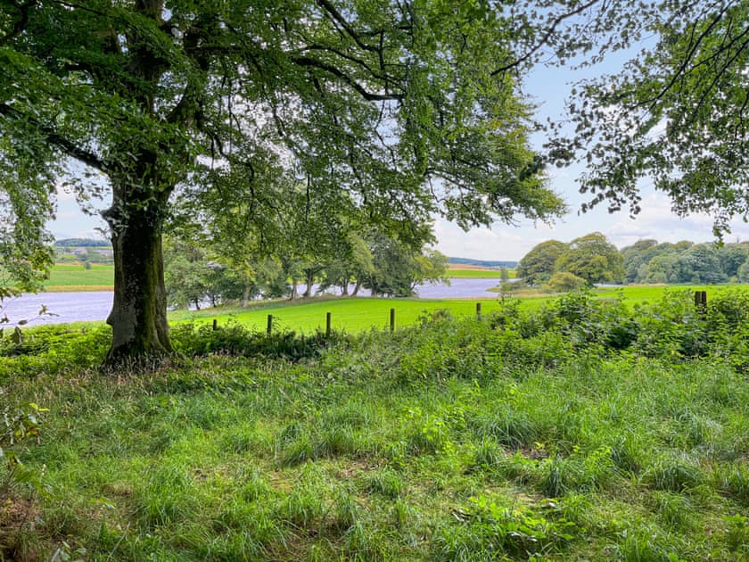 View | Cassiopeia - Galloway Glamping, Castle Douglas