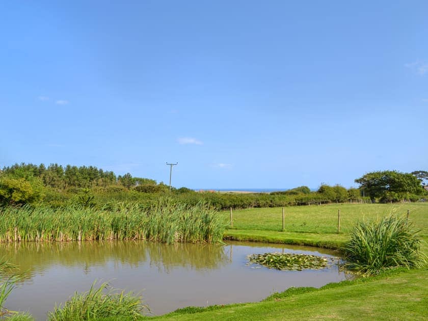 Surrounding area | Moorhen Cottage - East Ridge Farm Holiday Cottages, Staithes