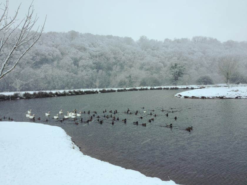 On site lake | Duvale Barn - Duvale Cottages, Bampton, near Tiverton