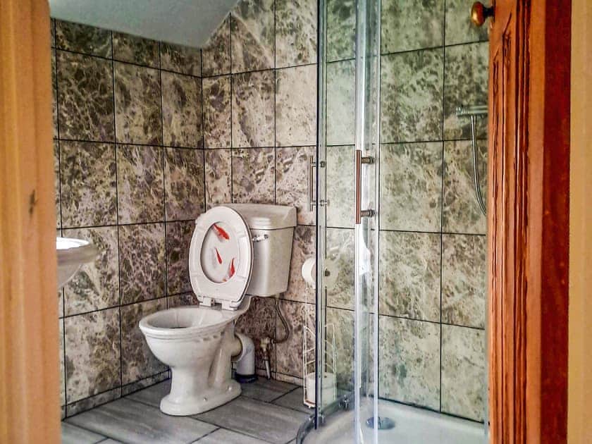 Shower room with shower, toilet and wash basin. | Brockhill House, Beaminster