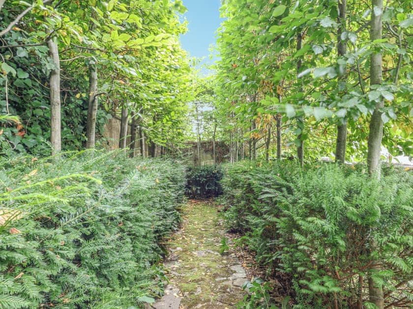 Garden | The Colonel, Bath
