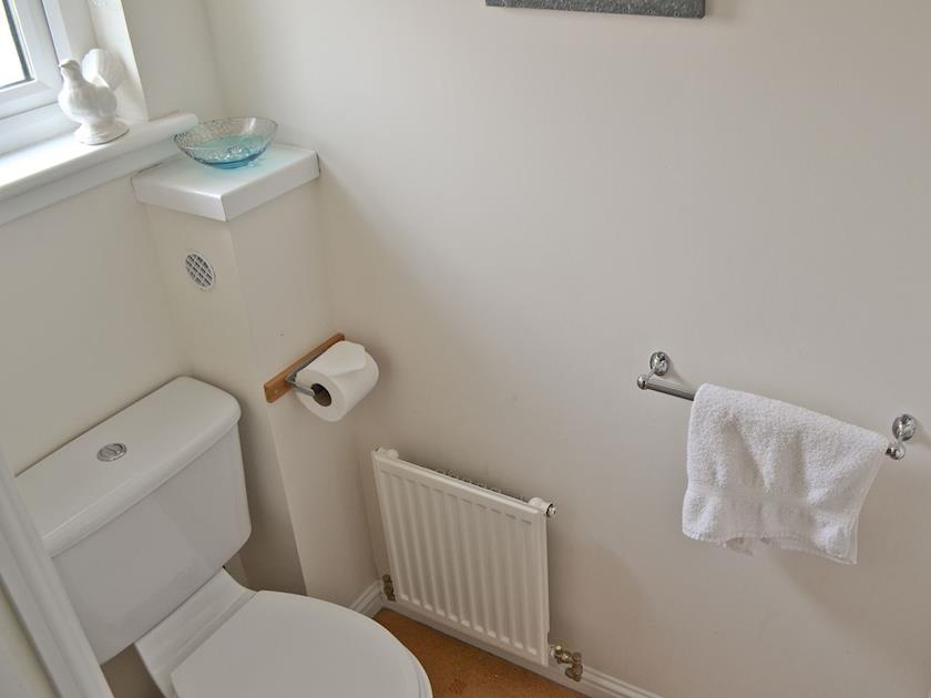 Cloakroom toilet | The Marches, Anstruther