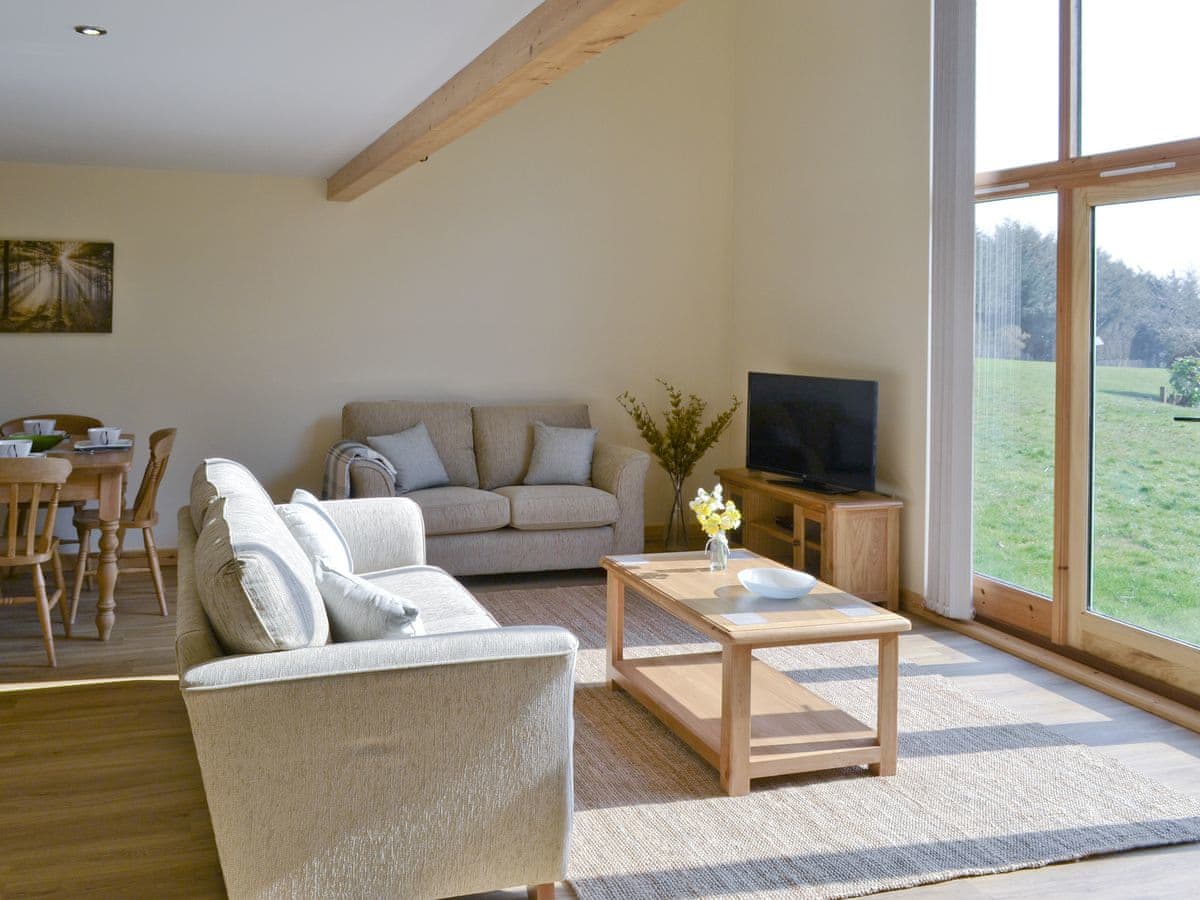 Springwater Lakes - Kingfisher Lodge - Holiday lodge in East Anglia - Image 2