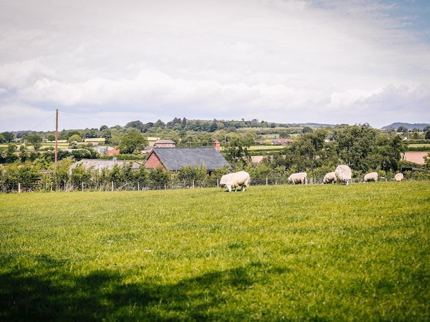 Beautiful surrounding countryside | Millmoor Farm, Bickley, near Malpas