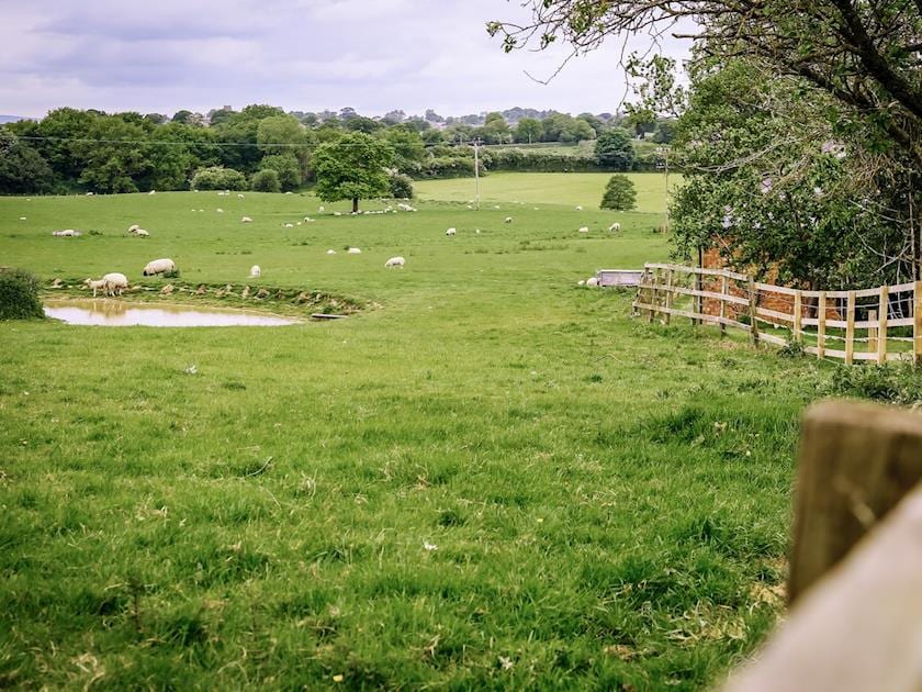 Extensive rural landscape | Millmoor Farm, Bickley, near Malpas
