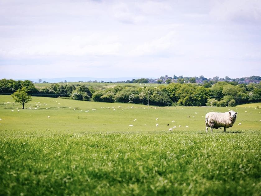 Panoramic rural views | Millmoor Farm, Bickley, near Malpas