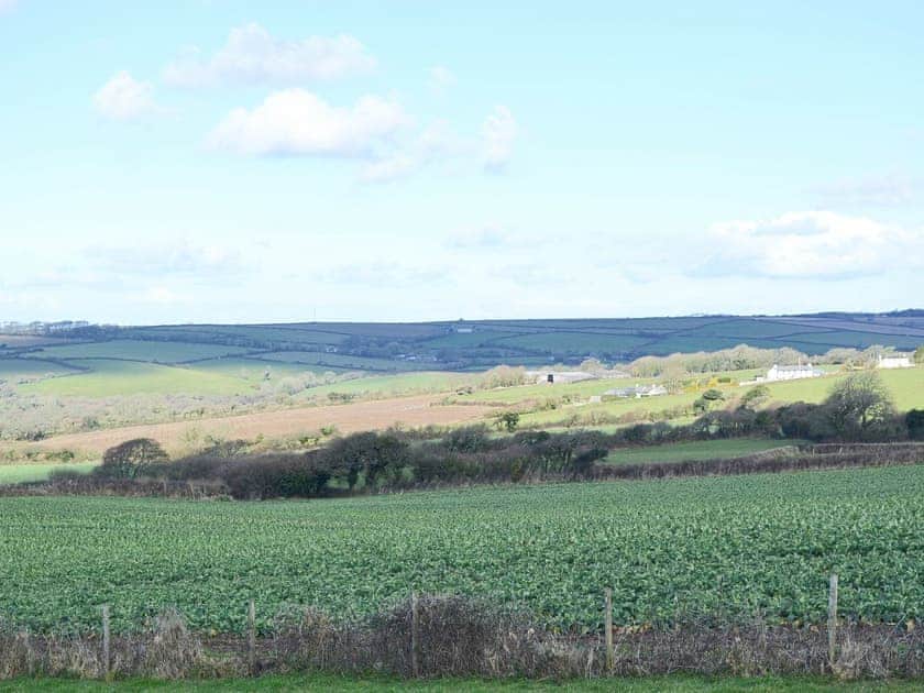 The surrounding farmalnd provides a habitat for a wealth of birds and animals | Coachmans Cottage, White Cross, near Newquay