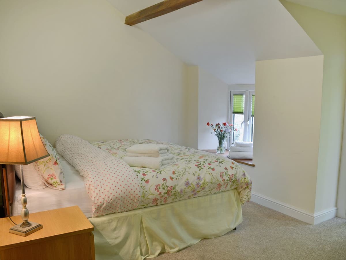 Copper Penny Apartments - Birch Lodge - Holiday lodge in South West England - Image 3
