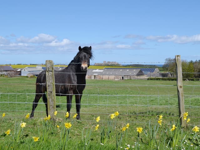 Little Haven Ref Cc313030 In East Burton Bamburgh