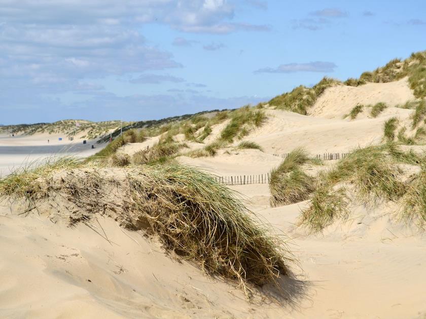 Sand dunes at the head of the beach | Seaspray, Camber Sands, Rye