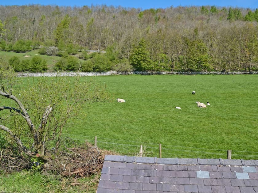 Surrounded by beautiful countryside | Bumblebee Cottage, Marske near Richmond