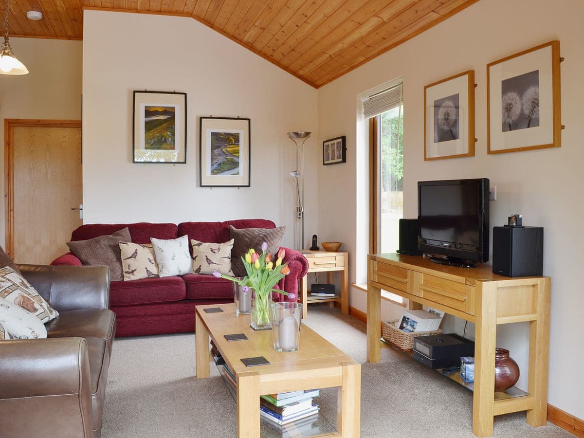 Rowanburn Lodge - Holiday lodge in North West England - Image 3