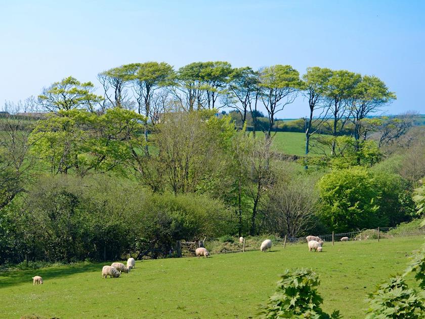 Glorious countryside | Tamarisk - Netherton Farm, Hartland, near Bideford