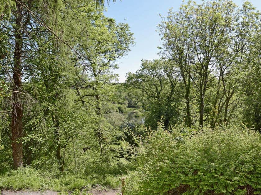 Beautiful views overlooking the lake  | Tan Y Castell, Llanmill, near Narberth