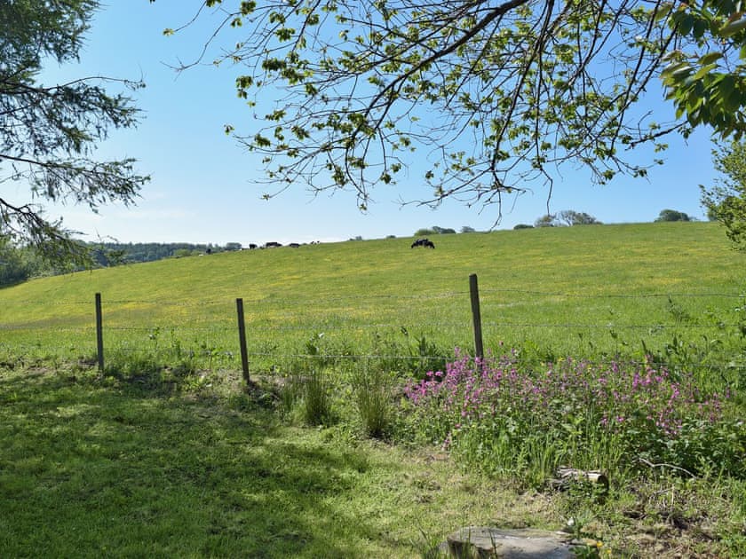 An idyllic setting  | Tan Y Castell, Llanmill, near Narberth
