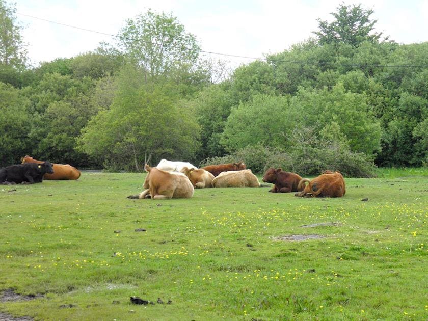 Surrounding area | Weaver’s Lodge, North Gorley, near Fordingbridge