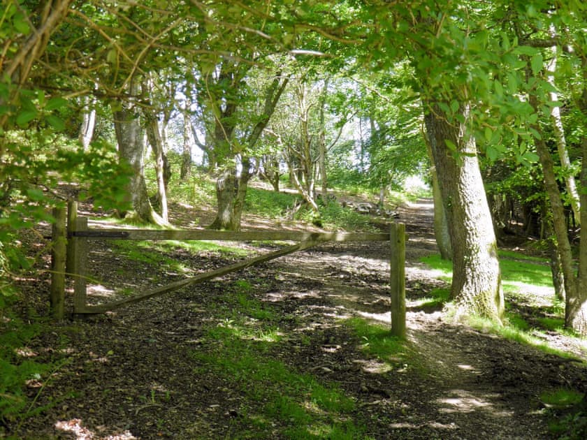 The property has access to miles of woodland and countryside walks from the doorstep | Weaver’s Lodge, North Gorley, near Fordingbridge