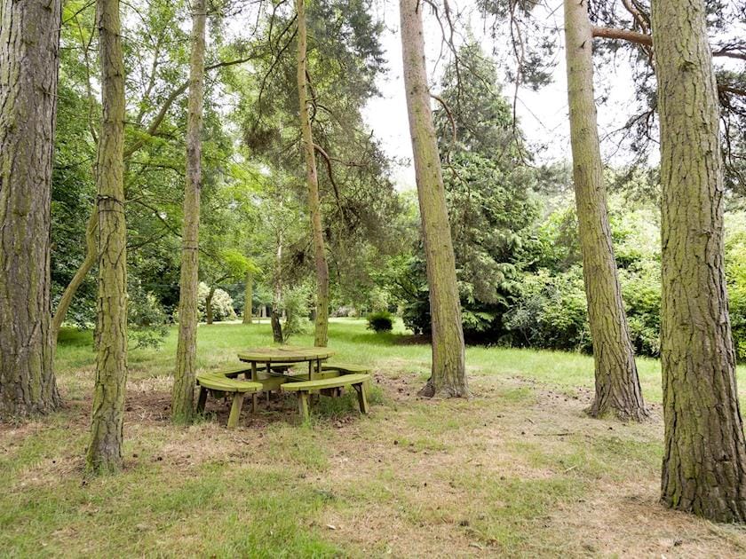 Garden | The Coach House, Bromeswell, Woodbridge