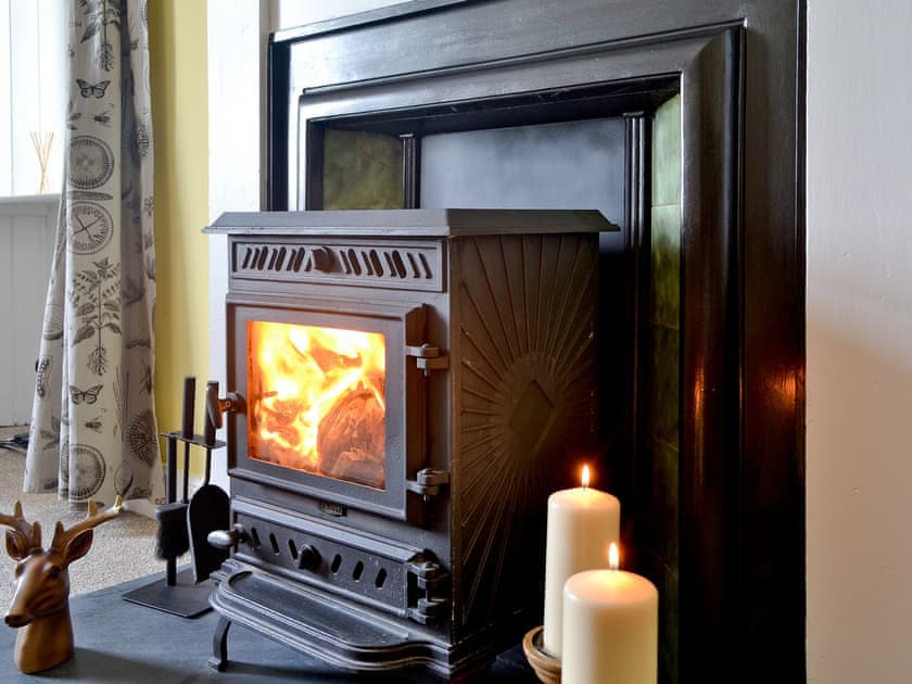 Wood burning stove | Glenhowl Lodge, Dalry, near Castle Douglas