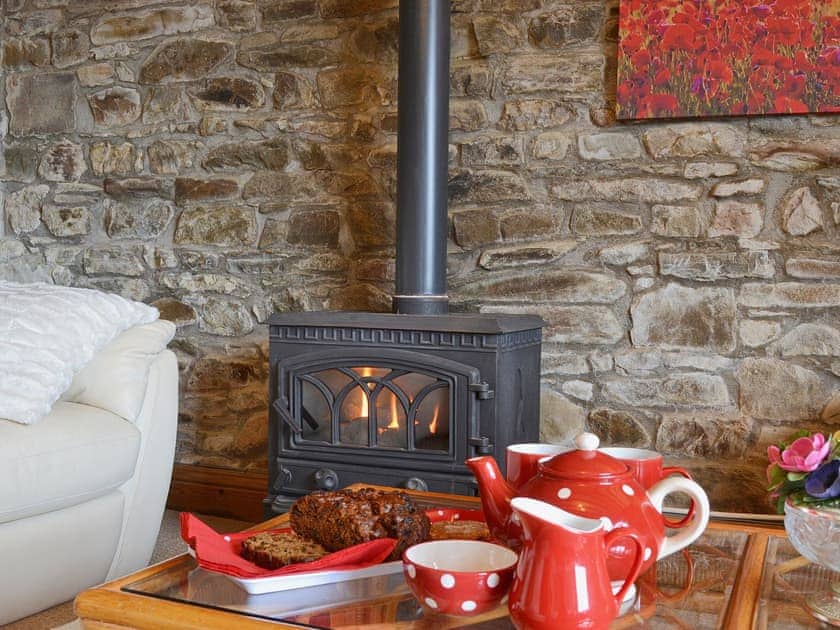 Cosy gas woodburner in the living room | Ty Coch Cottage, Near Aberaeron