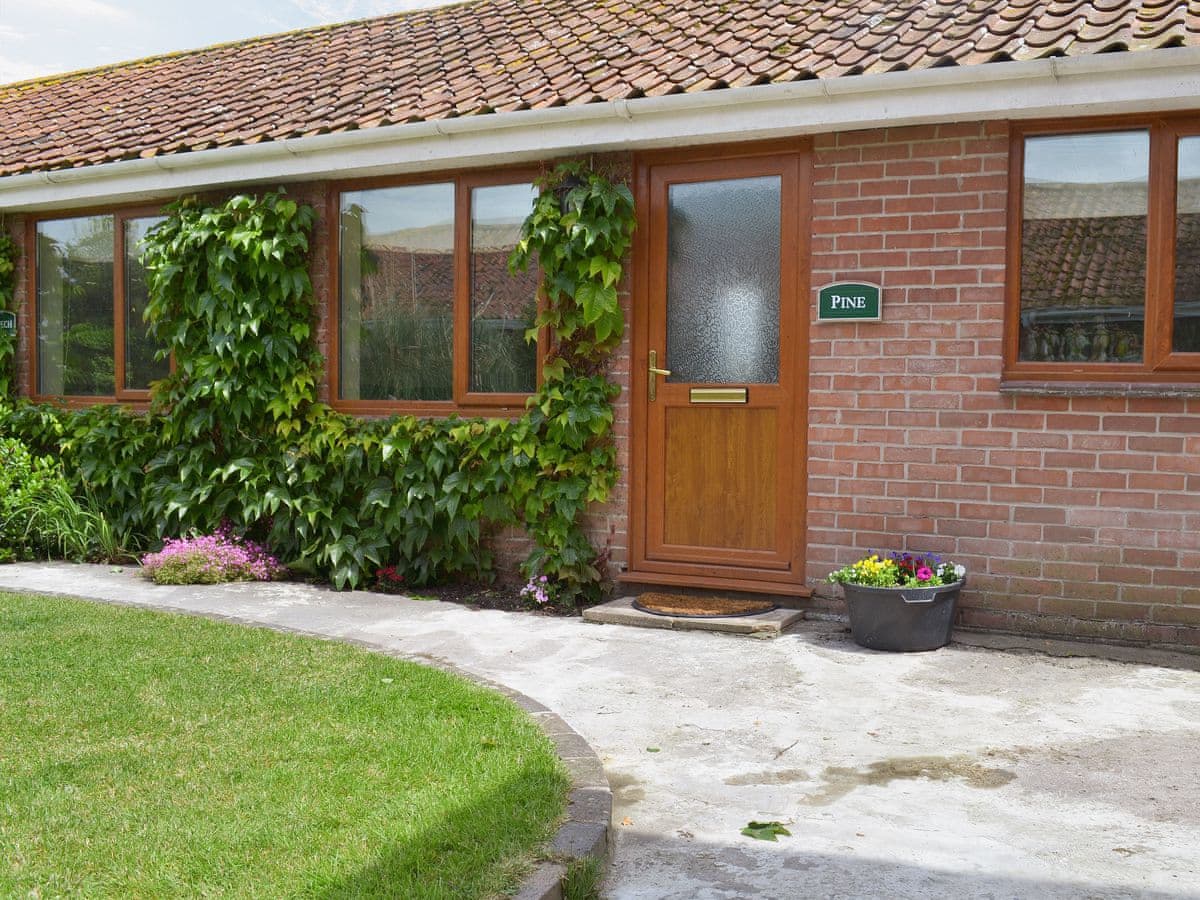 Withy Grove Farm - Pine