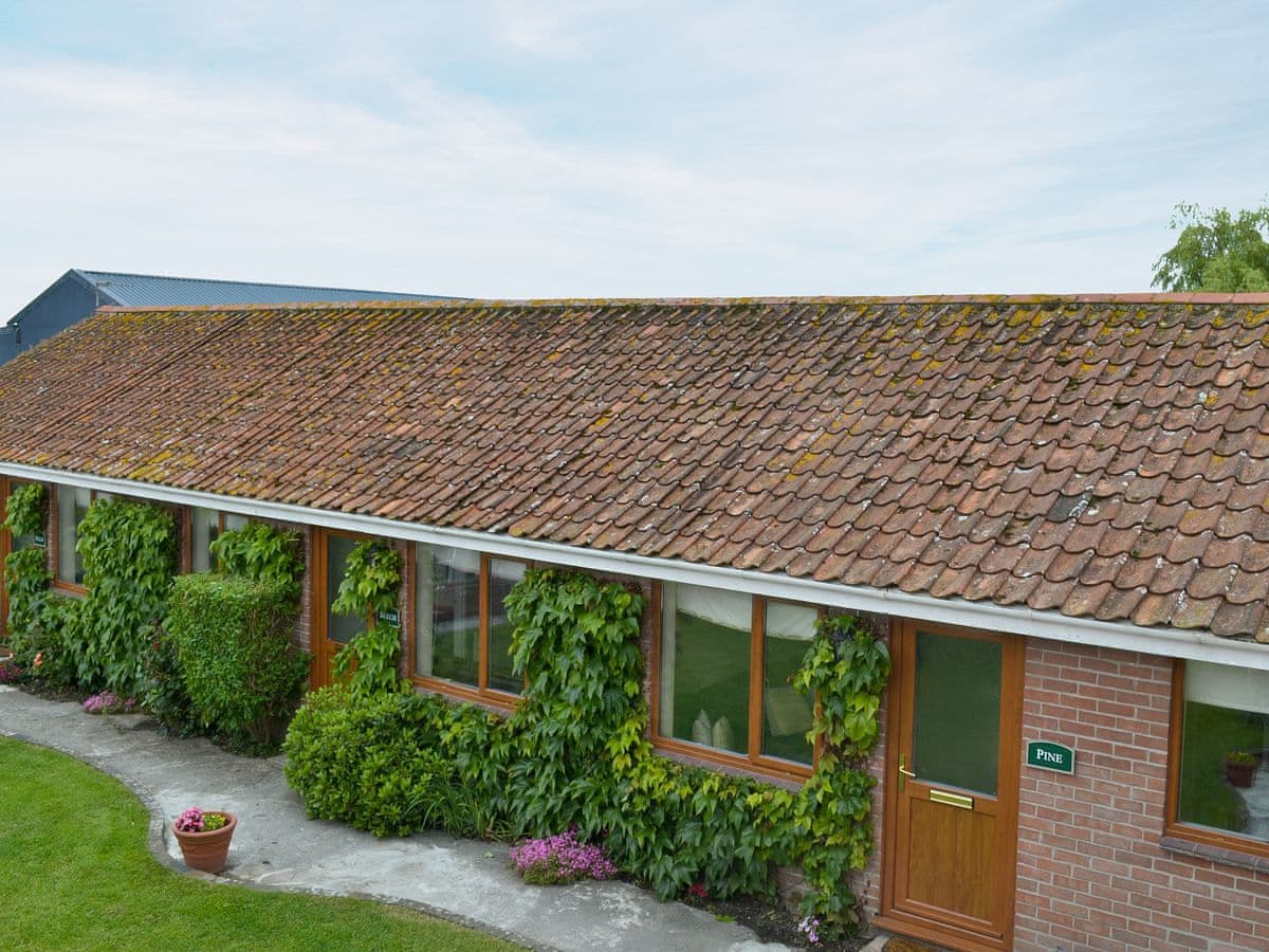 Withy Grove Farm Beech Holiday Cottages In Burnham On Sea