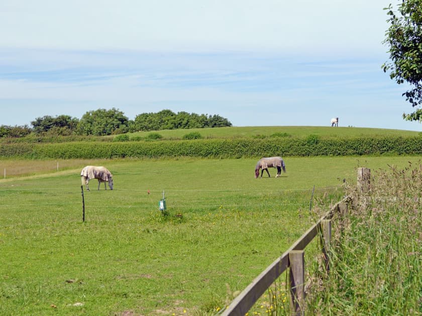 Stabling and grazing for horses by arrangement | Pant Glas Mawr Cottage, Axton, near Holywell