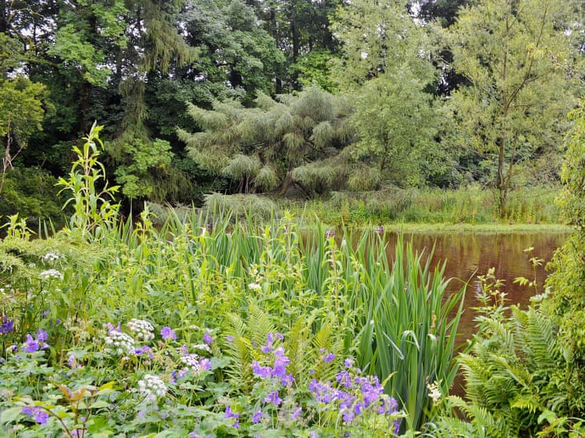 Peaceful surrounding countryside | Langcliffe Lock Cottage, Langcliffe, near Settle