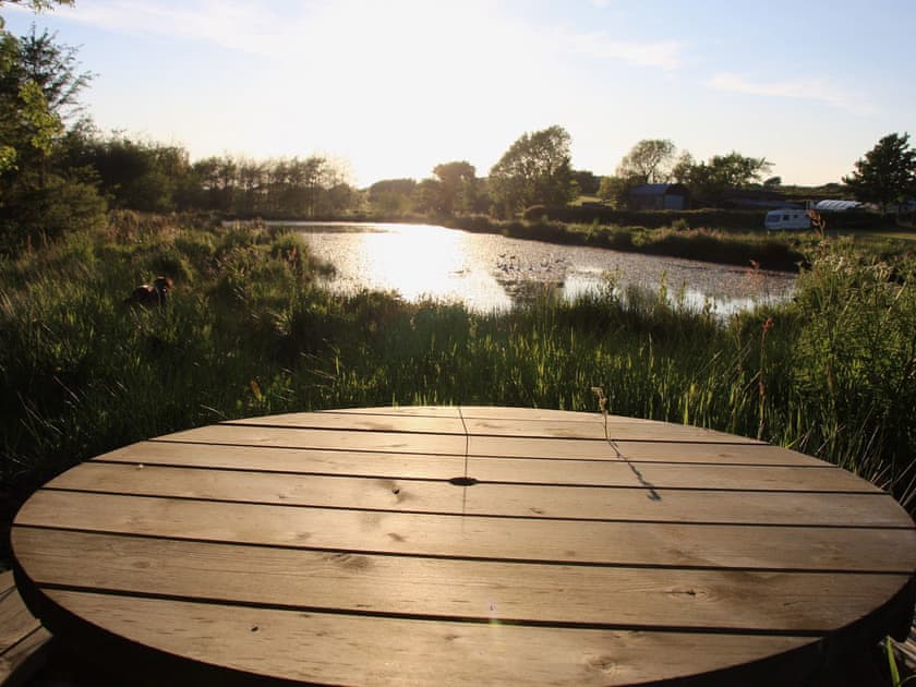 Unfenced pond in the grounds | Bwthyn Bwlford, Johnston, near Broad Haven