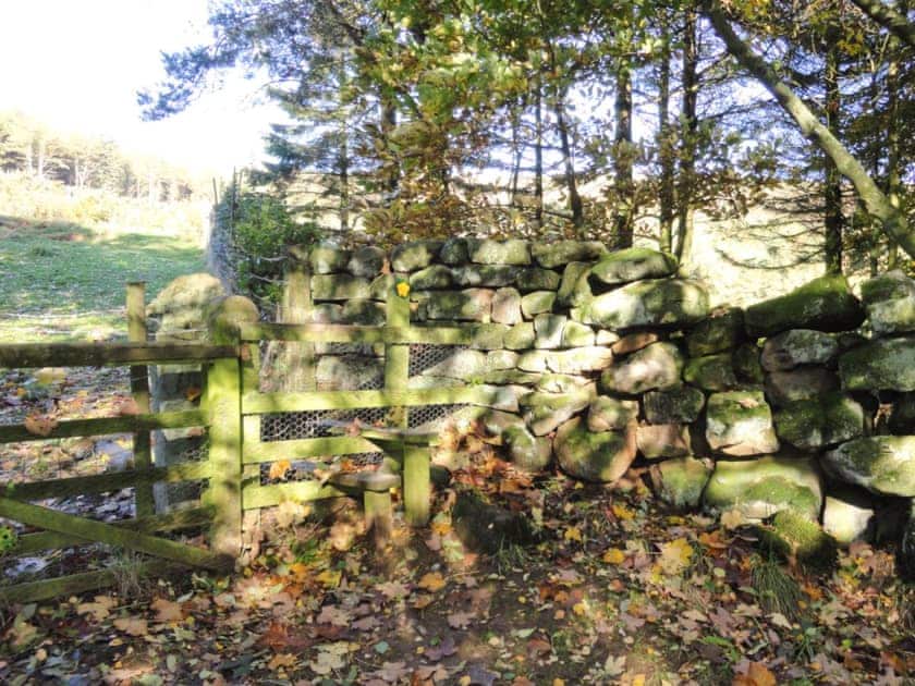 Plenty of footpaths to explore | Crossbill Cottage, Chopgate near Stokesley