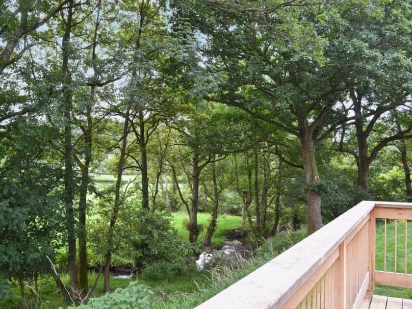 View of the river | Lodge 3 - Mill Race Lodges, Llangunllo, near Knighton