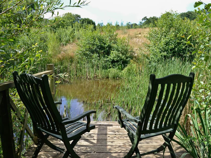 Unfenced pond | The Shed with a View, Cadbury, near Crediton