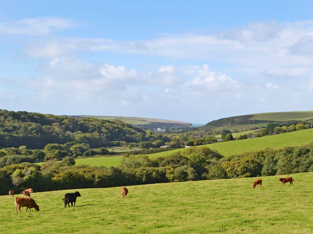 Higher Lanvean Farm - Merlin View