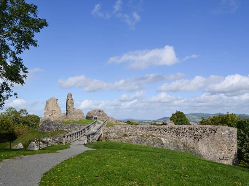 Montgomery Castle