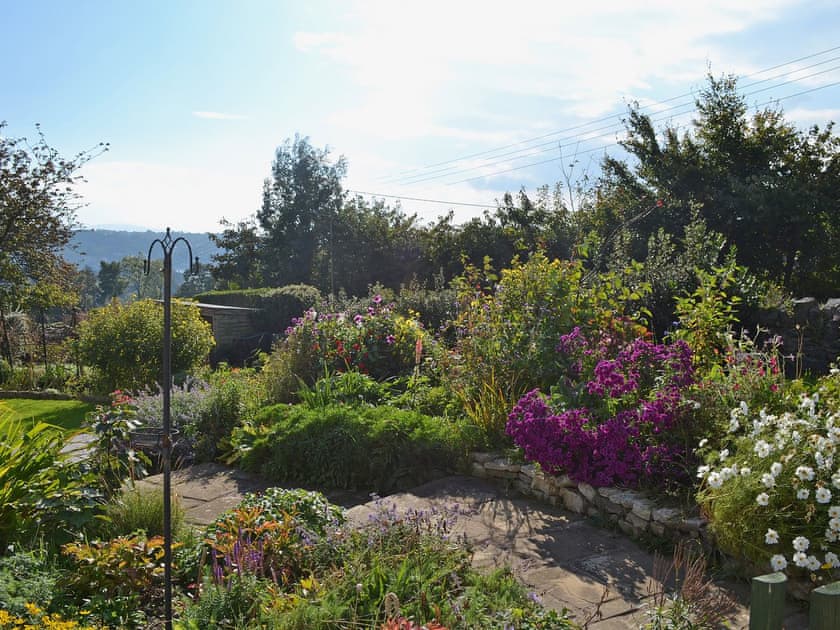 Well stocked and attractive natural planting in the garden | Haulfryn Cottage, Llandegfan, near Menai Bridge