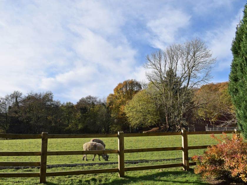 Surrounding area | Steamview Cottage, near Grosmont
