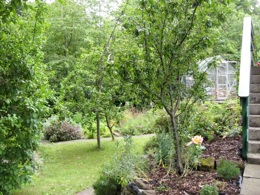 Lawned area of garden | Burnside, St Andrews