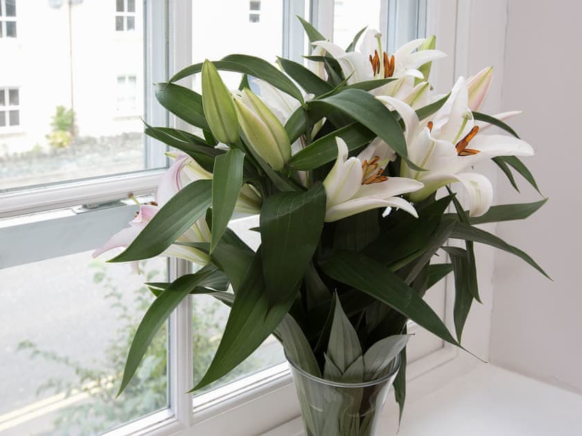 Chic, modern decor and furnishings | 22 Rose Terrace, Keswick