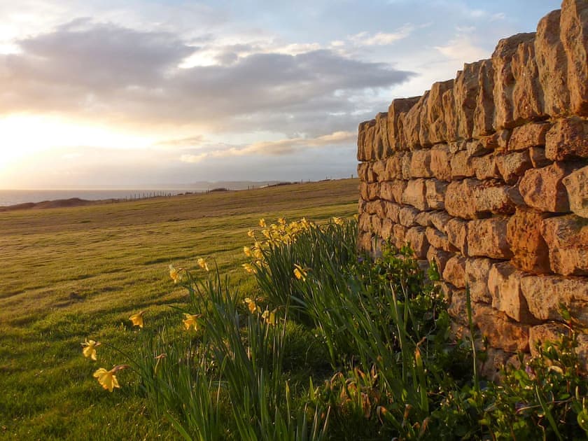 Delightful view from the garden | Greenbanks, Chesil Beach, near Abbotsbury