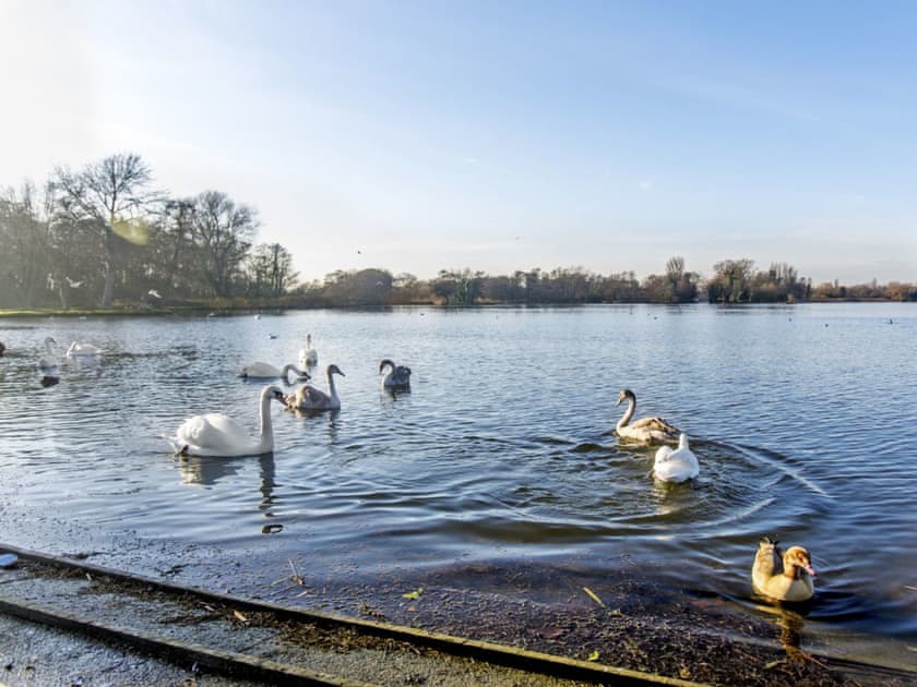Idyllic boat lake | Boat Lake, Thorpness, near Saxmundham