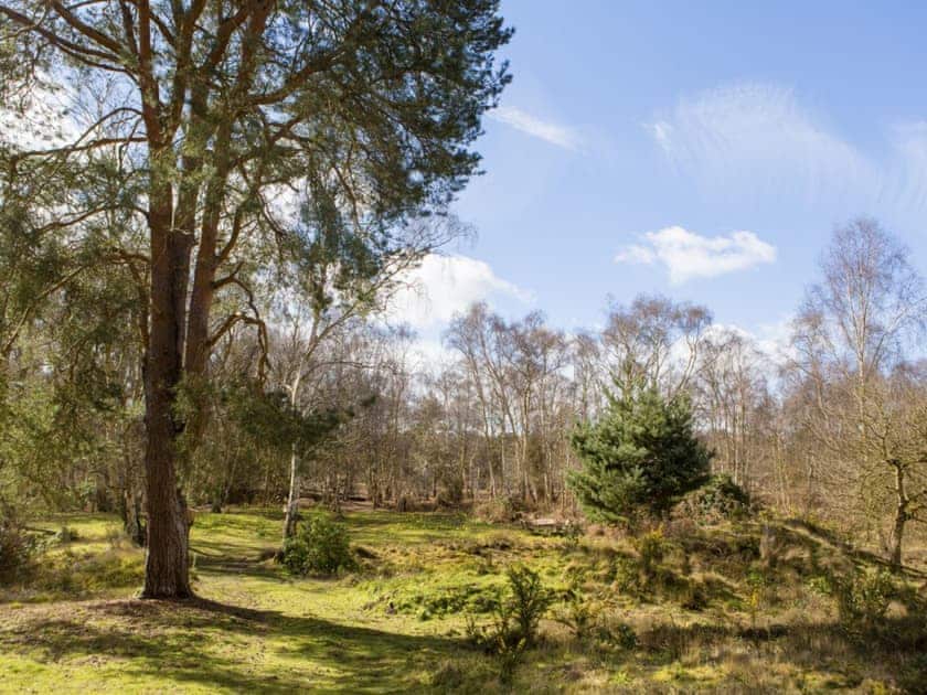 Lovely garden areas | The Retreat, Aldringham, near Aldeburgh