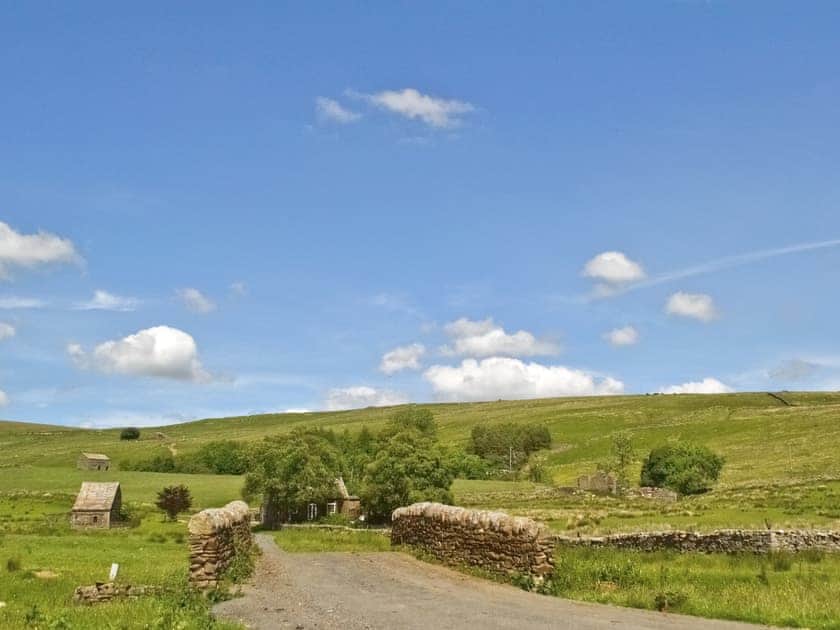 Grizedale | Cumbria, England