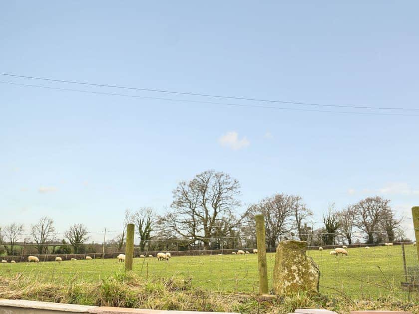 Lovely countryside surrounds this fantastic property | Fountain Hill, Eglwyswrw, near Cardigan