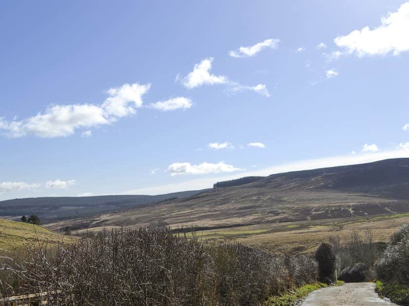 Tranquil rural surroundings | Birch Cottage, Rowan Cottage, Oak Cottage - Whitelee Farm, Bryness, near Otterburn