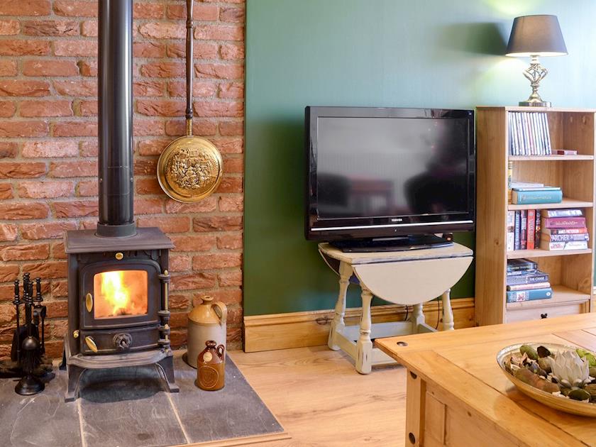 Warm and cosy wood burner | Reed Lodge - Wood Fen Lodges, Little Downham, near Ely